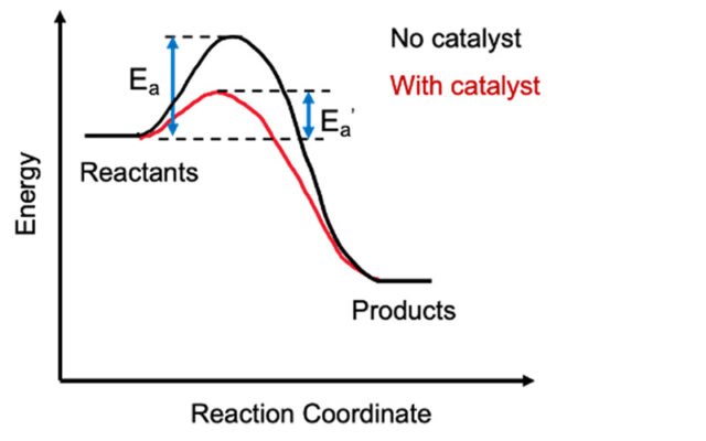 Graph showing how a catalyst lowers the activation energy of a reaction